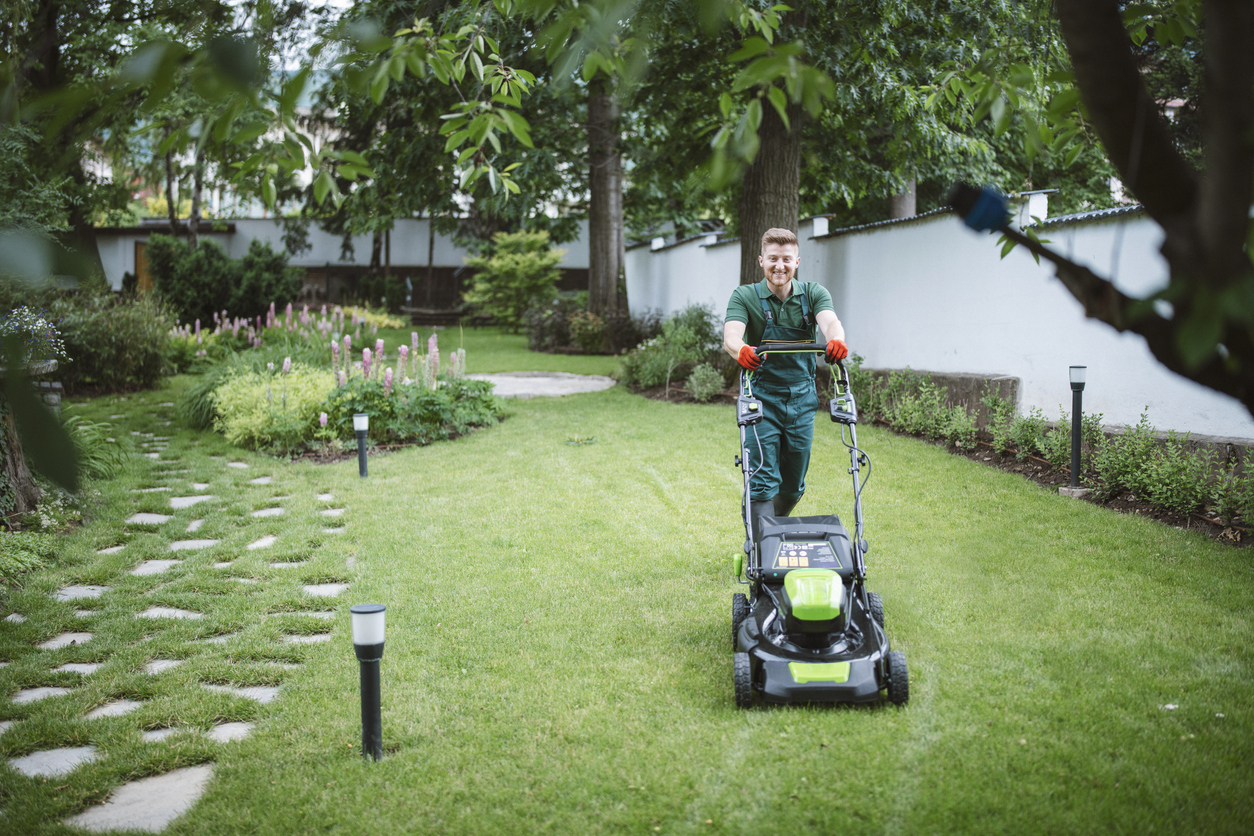 Landscaping
